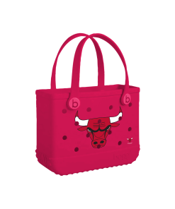 Bitty Bogg Bag - Chicago Bulls