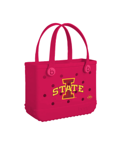 Bitty Bogg Bag - Iowa State Cyclones